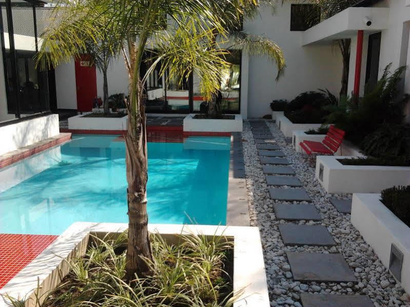 21 Kingfisher Guesthouse Γιοχάνεσμπουργκ Εξωτερικό φωτογραφία