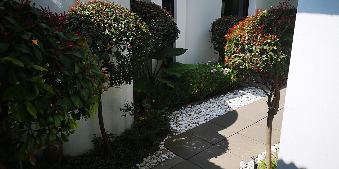 21 Kingfisher Guesthouse Γιοχάνεσμπουργκ Εξωτερικό φωτογραφία