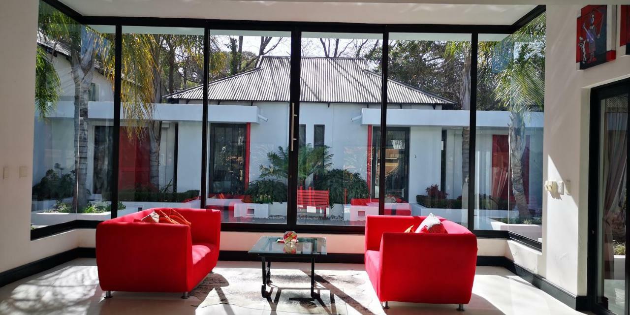 21 Kingfisher Guesthouse Γιοχάνεσμπουργκ Εξωτερικό φωτογραφία